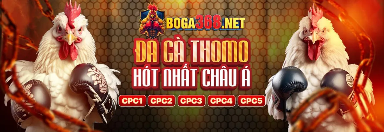 Đá gà trực tuyến 0k9 chính thức