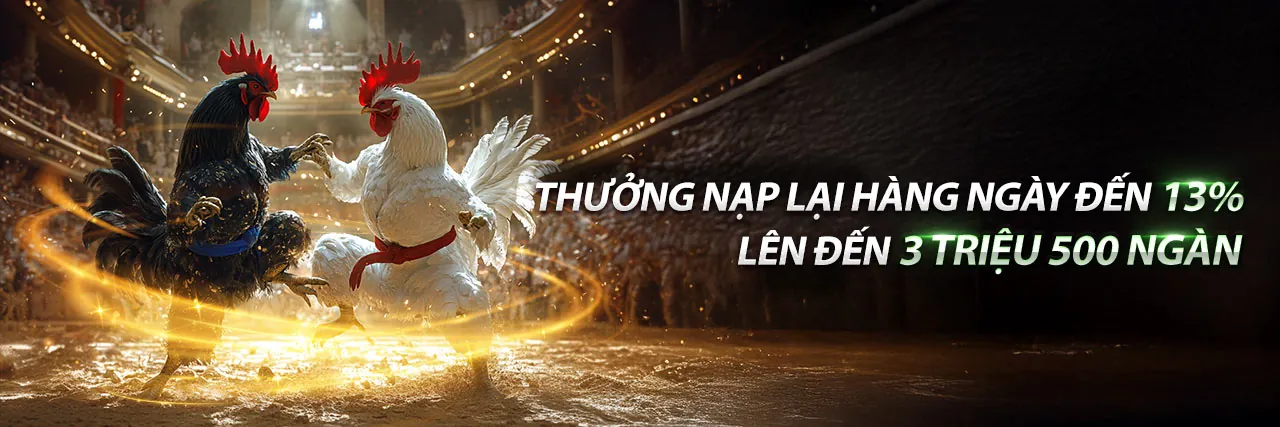Đội ngũ hỗ trợ chuyên nghiệp của 0k9 chính thức