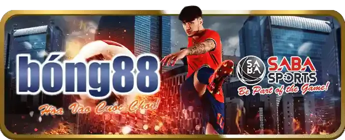 Nhóm hỗ trợ